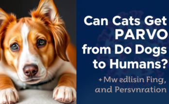 Can Cats Get Parvo from Dogs to Humans Understanding Parvovirus Transmission and Prevention