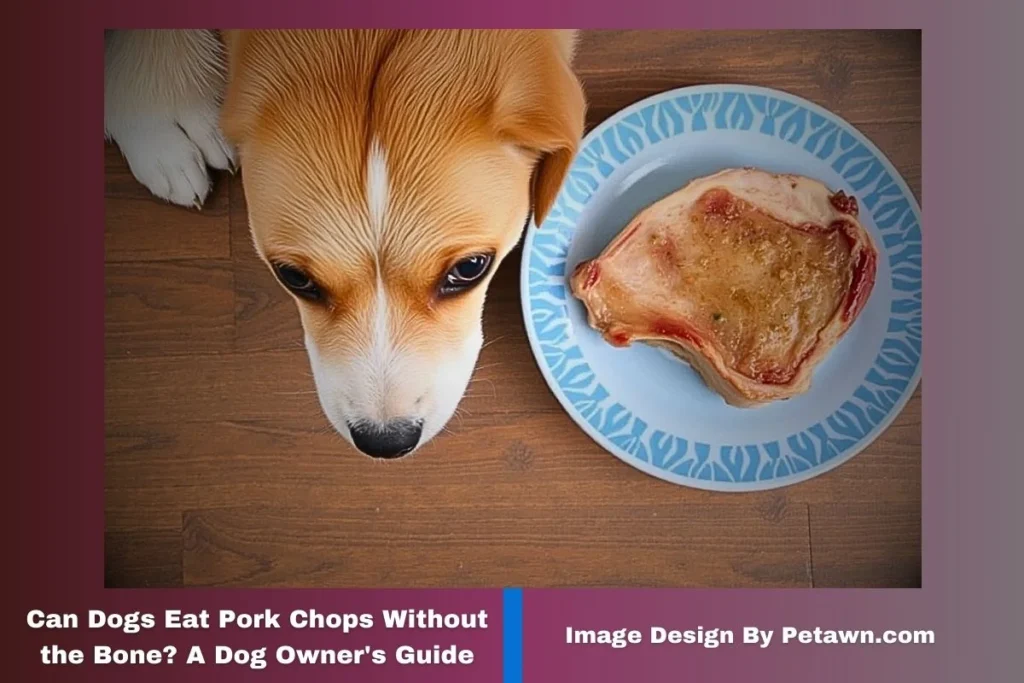 Can Dogs Eat Pork Chops Without the Bone? A Dog Owner’s Guide