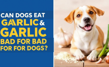 Can dogs eat garlic and is onion powder bad for dogs