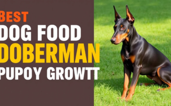 A happy Doberman puppy enjoying a bowl of nutritious dog food, promoting healthy growth and development.