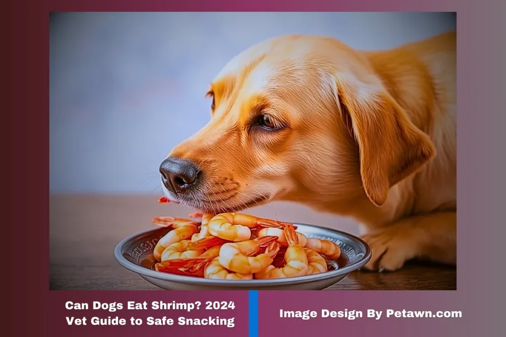 Can Dogs Eat Shrimp? 2025 Vet Guide to Safe Snacking