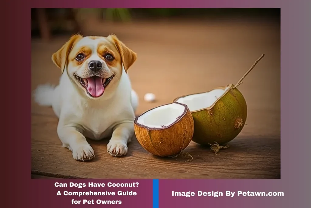 Can Dogs Have Coconut? A Comprehensive Guide for Pet Owners
