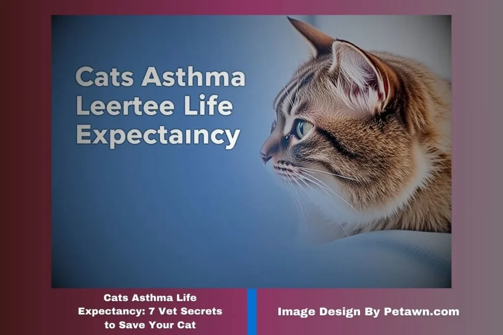 Cats Asthma Life Expectancy: 7 Vet Secrets to Save Your Cat