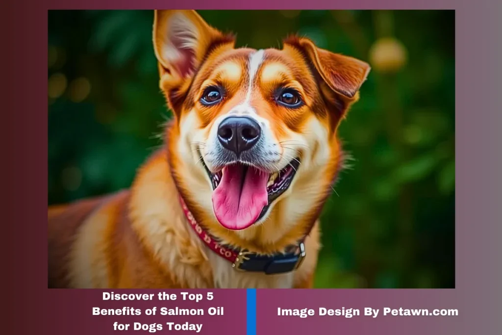 Discover the Top 5 Benefits of Salmon Oil for Dogs Today