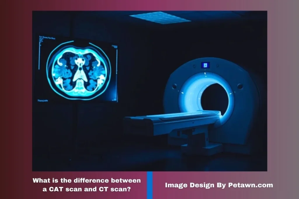 difference CT scan