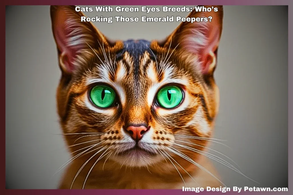 A cat with striking green eyes gazes intently at an unseen object, showcasing its curiosity and alertness.