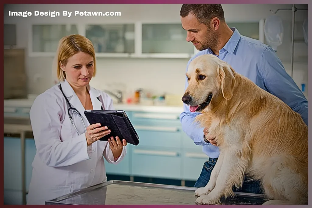 Raw Beef for Dogs: Vet Warnings & What Owners Need to Know