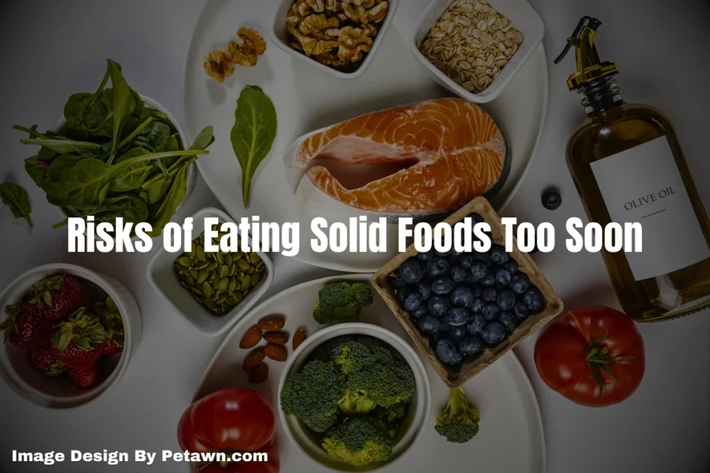 Risks of Eating Solid Foods Too Soon