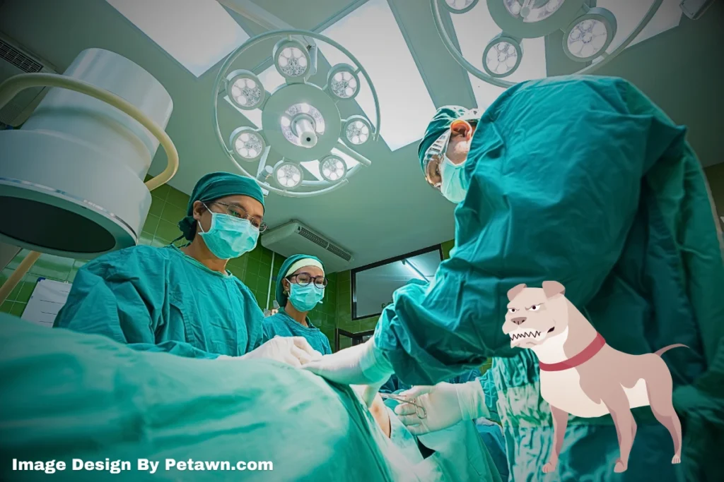 Understanding Wisdom Teeth Surgery and Recovery