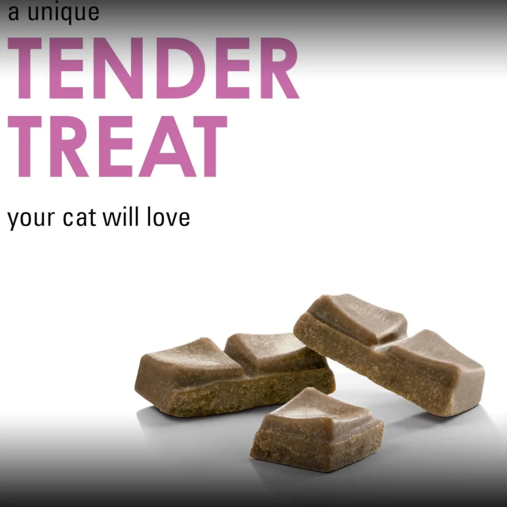 Fancy Feast Savory Centers